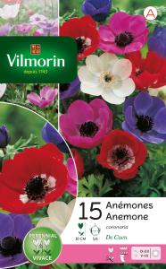 Anémone De Caen En Mélange (x15)